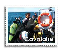 Plongée à Cavalaire