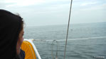 Ballade en mer 05