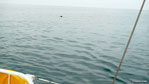Ballade en mer 06