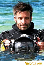 Nicolas Job